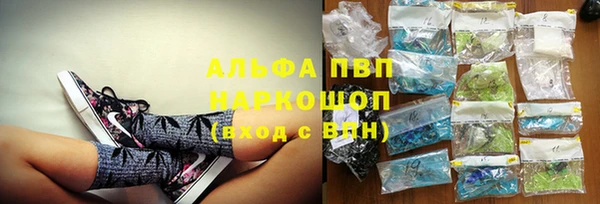 круглые Белокуриха